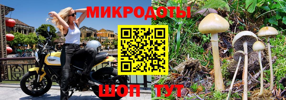 Белая Калитва  Псилоцибиновые грибы мицелий  Вход с VPN 