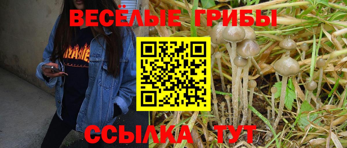Галлюциногенные грибы ЛСД Белая Калитва
